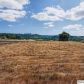 7251 NE Elmers Ct, Silverton, OR 97381 ID:13906581