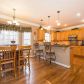 455 Dunhill View Court, Alpharetta, GA 30005 ID:13916074