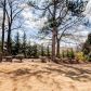4035 Martel Drive, Cumming, GA 30040 ID:13902208
