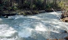 0 County Road 141 Ider, AL 35981