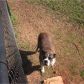 699 Gordon Road, Jasper, GA 30143 ID:13783810