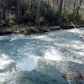 0 County Road 141, Ider, AL 35981 ID:13921093