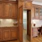 805 Tramore Place, Alpharetta, GA 30004 ID:13952977