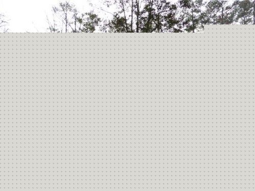 5160 S Trimble Road, Atlanta, GA 30342