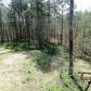 377 Long Branch Trail, Ranger, GA 30734 ID:13967744