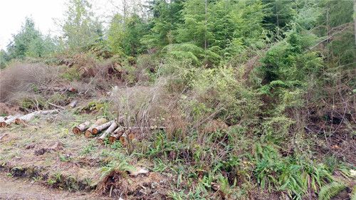 -Lot 114 Monte Cristo Wy, Granite Falls, WA 98252