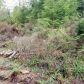 -Lot 114 Monte Cristo Wy, Granite Falls, WA 98252 ID:13962063