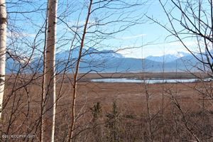 4231 S SANTANA Drive, Wasilla, AK 99654