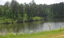 124 Horseshoe Bend Court Macon, GA 31211