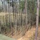 4520 Persian Trail, Gainesville, GA 30507 ID:13969163