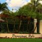 13955 N Forest Oak Cir # 13955, Fort Lauderdale, FL 33325 ID:14355963