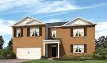 509 Plumb Branch Court Mcdonough, GA 30253