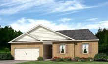 305 Buckshire Way Mcdonough, GA 30253