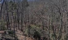 337 Bellflower Drive Jasper, GA 30143