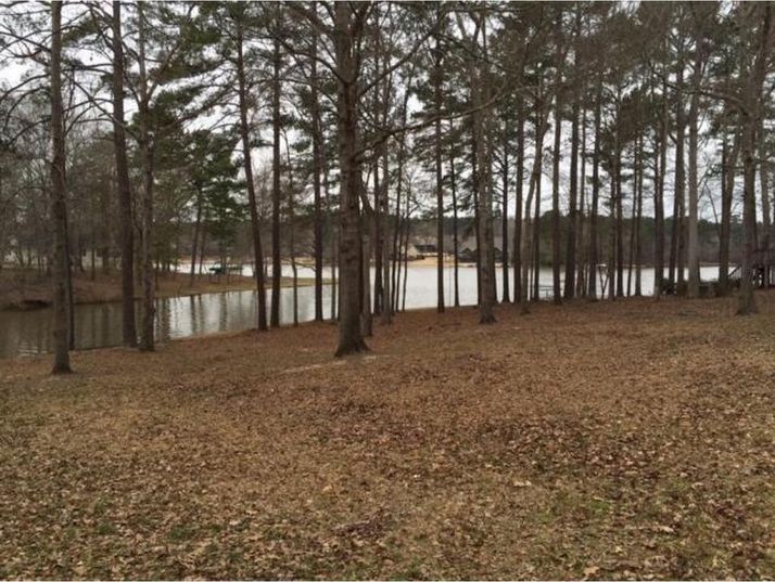 1010 Meadow Lane, Greensboro, GA 30642