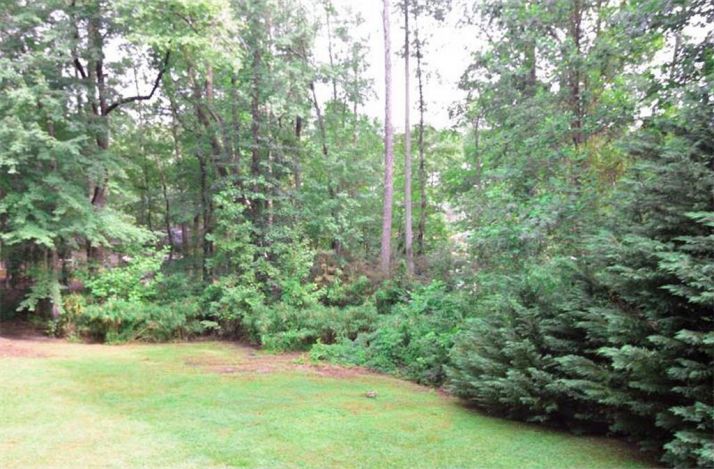 423 Bob Wood Drive, Loganville, GA 30052
