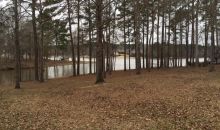1010 Meadow Lane Greensboro, GA 30642