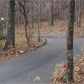 743 Bearslide Hollow, Dahlonega, GA 30533 ID:14397578