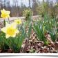 432 Trudys Trail, Martin, GA 30557 ID:14409983