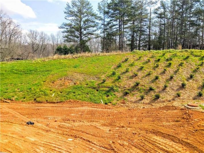 4589 Lake Falls Drive, Buford, GA 30519