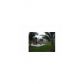 17580 NW 67th Pl # G-1, Hialeah, FL 33015 ID:14478457