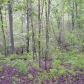 2173 Blacks Bluff Road Sw, Rome, GA 30161 ID:14095290