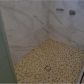 8695 NW 99th Ave, Miami, FL 33178 ID:14407171