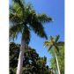 9975 SW 87 AV, Miami, FL 33176 ID:14468162