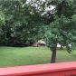 5561 Elderberry Lane, Flowery Branch, GA 30542 ID:14503046