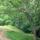 262 Georgia Avenue, Dahlonega, GA 30533 ID:14335830
