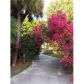 4000 Towerside Ter # 1705, Miami, FL 33138 ID:14349171