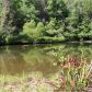385 Pine Knot Drive, Cleveland, GA 30528 ID:14389193