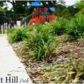 575 Mulberry Park Circle, Dacula, GA 30019 ID:13772344