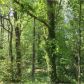 5002 Timber Ridge Road, Marietta, GA 30068 ID:14385132
