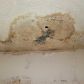 5515 Madison St, Hollywood, FL 33021 ID:14469452
