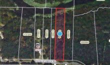 0 HAINES CREEK ROAD Leesburg, FL 34788