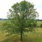 516 Pendley Road Se, Calhoun, GA 30701 ID:14588908