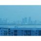 6899 Collins Ave # 1804, Miami Beach, FL 33141 ID:14347572