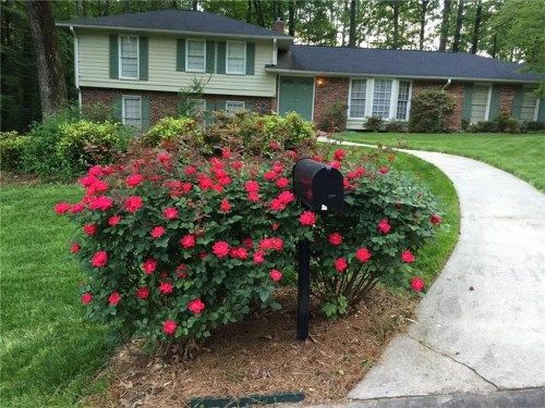 1523 Chateau Drive, Atlanta, GA 30338
