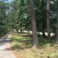 1596 Price Road, Dawsonville, GA 30534 ID:14452397