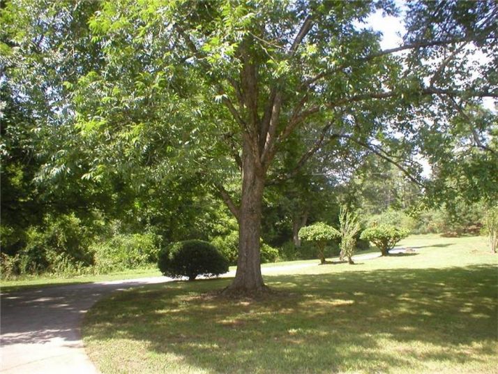 3530 Claude Brewer Road, Loganville, GA 30052