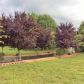 1463 Blacks Mill Road, Dawsonville, GA 30534 ID:14510741