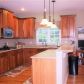 4775 Spring Park Circle, Suwanee, GA 30024 ID:14488295