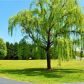 6501 Dahlonega Highway, Clermont, GA 30527 ID:14447372