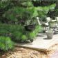 3813 Teton Pass Nw, Ellenwood, GA 30294 ID:14677887
