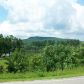 1373 State Highway 60, Suches, GA 30572 ID:14700367