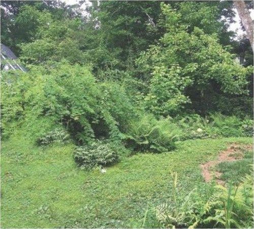 1149 Cumberland Road, Atlanta, GA 30306