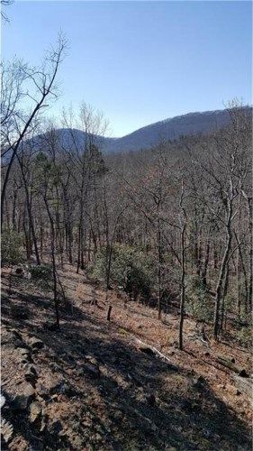 337 Bellflower Drive, Jasper, GA 30143