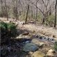 337 Bellflower Drive, Jasper, GA 30143 ID:14442370