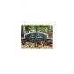 8215 Lake Dr # 101, Miami, FL 33166 ID:14799417